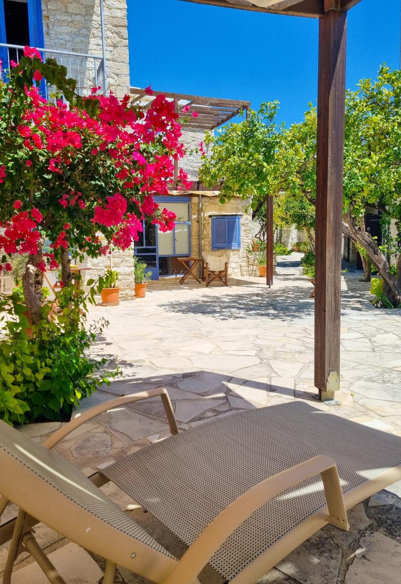 Ferienwohnung Athena'S Pool Oasis Skarinou Exterior foto