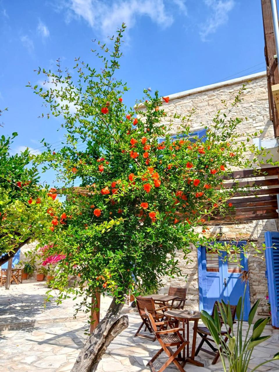 Ferienwohnung Athena'S Pool Oasis Skarinou Exterior foto